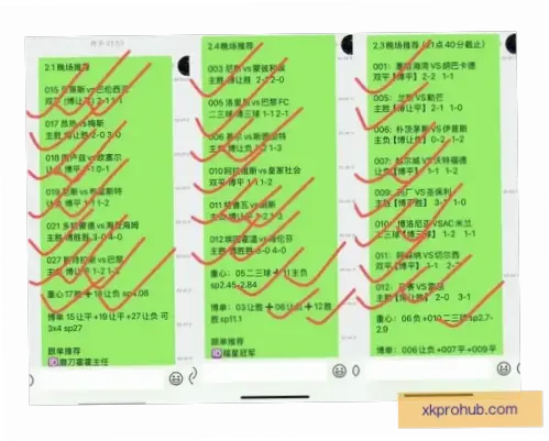 竞猜网官方网站玩法全解析